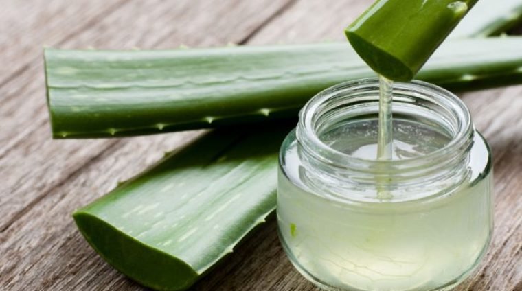 aloe vera